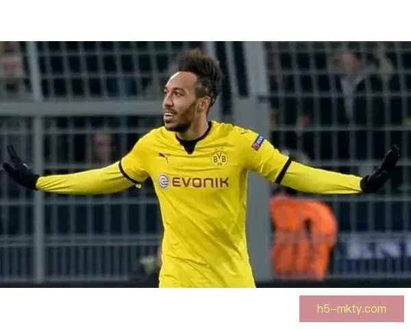 李平康称博阿滕税薪转会百万欧