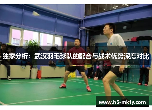 独家分析：武汉羽毛球队的配合与战术优势深度对比