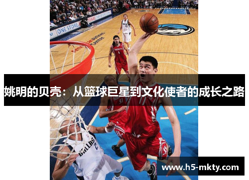 姚明的贝壳：从篮球巨星到文化使者的成长之路